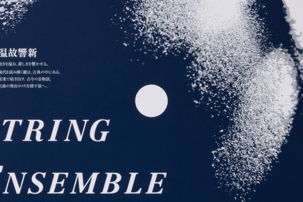 String Ensemble Risonanza ’16