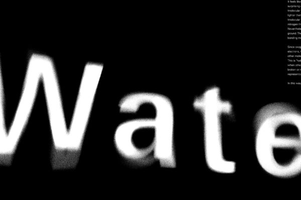 水の表情